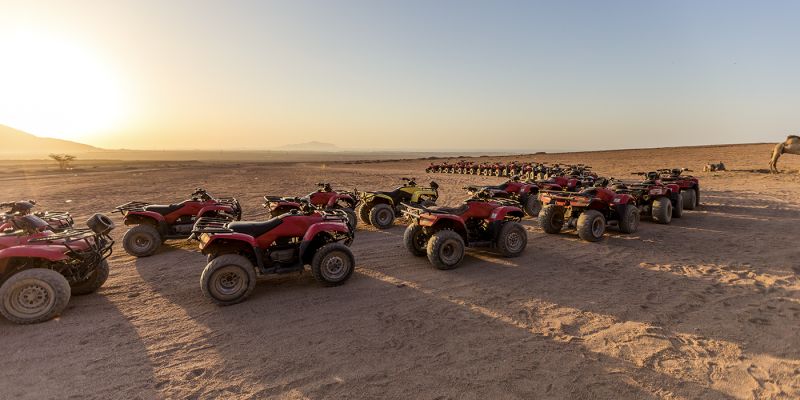 Quad Et Dromadaires À Sharm El-Sheikh